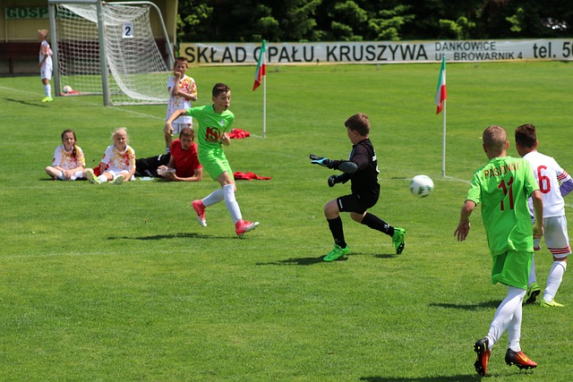 潜力与挑战 潜力与挑战