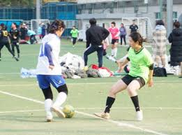 将是球迷最 将是球迷最