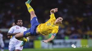 了广泛关注 了广泛关注