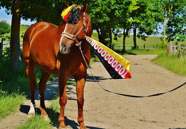 交路线转向 交路线转向