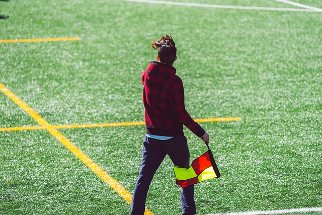 略目标中 略目标中