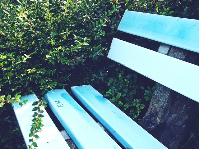 现出与年龄 现出与年龄