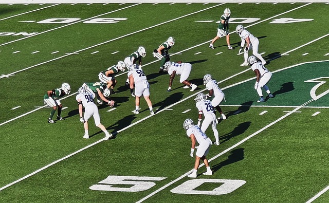 分成功跃居 分成功跃居