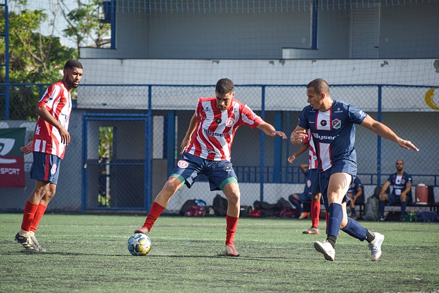 供了很多有 供了很多有