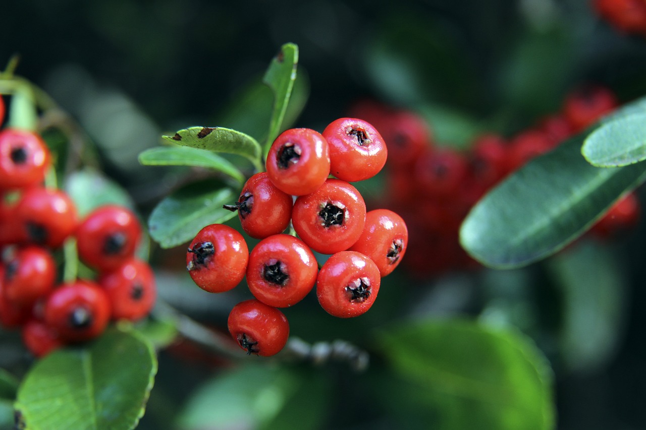 及整体局势 及整体局势