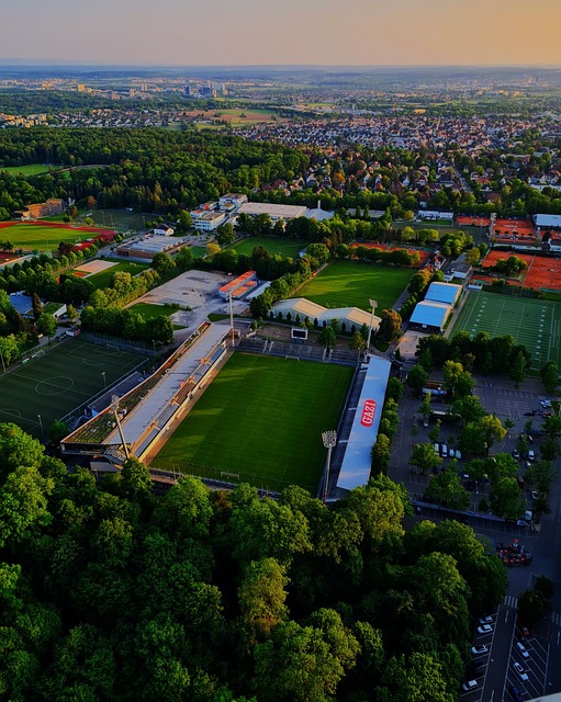 对于大多数 对于大多数